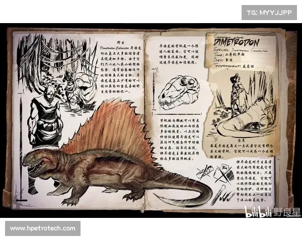 揭开风云岛行动宝箱的神秘面纱探索未知奖励与隐藏机制解析