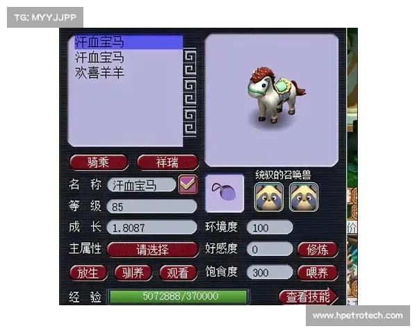 选择汗血宝马的理由与梦幻西游中的独特魅力探讨