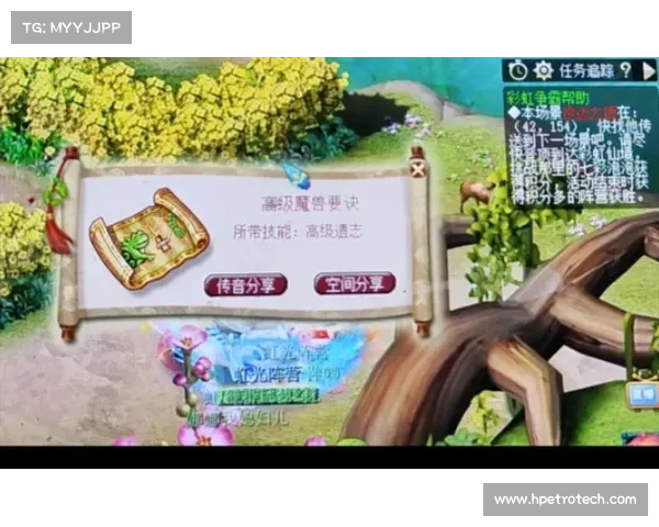 梦幻西游彩虹争霸赛技巧解析助你轻松制胜全攻略