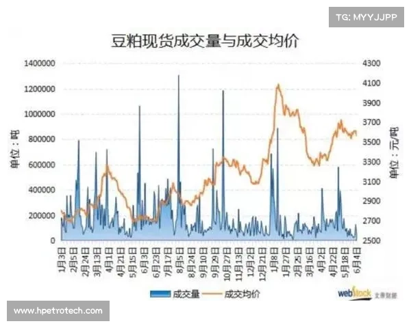 影响CSGO皮肤市场价格的多重因素及其变化规律分析