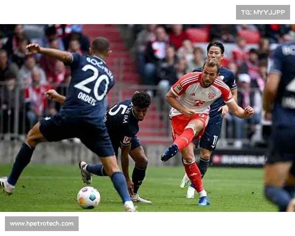 哈里凯恩的传奇征途从草根少年到英伦足坛不朽巨星 哈里凯恩的传奇征途从草根少年到英伦足坛不朽巨星